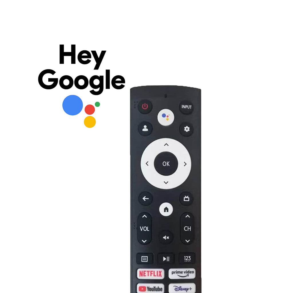 GOOGLE REMOTE